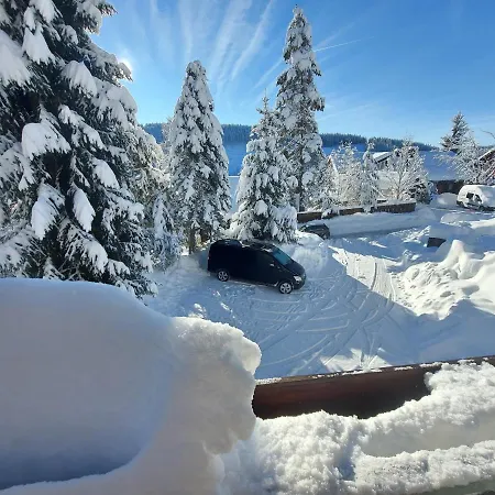 Apartment Haus Heidelberg