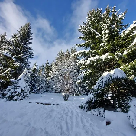 Haus Heidelberg * Feldberg (Baden-Wurttemberg)