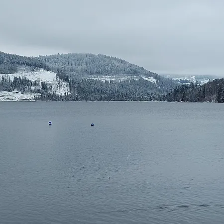 Haus Heidelberg Feldberg (Baden-Wurttemberg)