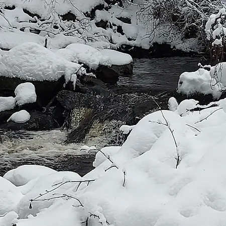 Haus Heidelberg Apartment *