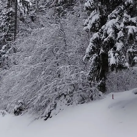 Haus Heidelberg * Feldberg (Baden-Wurttemberg)