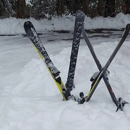 Haus Heidelberg * Feldberg (Baden-Wurttemberg)