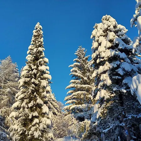 Haus Heidelberg Apartment