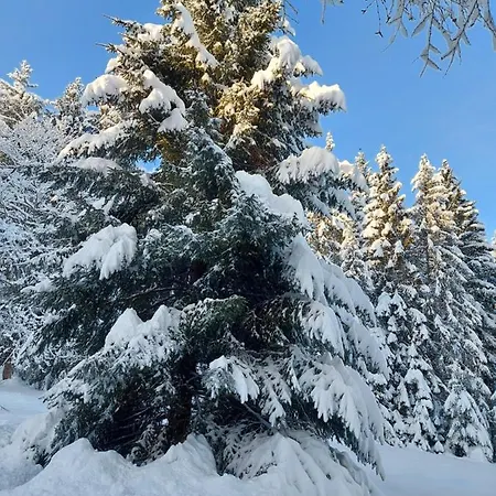 Apartment Haus Heidelberg *