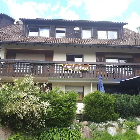 Apartment Haus Heidelberg Feldberg (Baden-Wurttemberg)