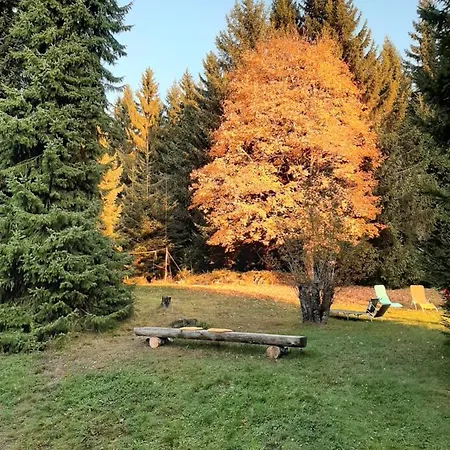 Apartment Haus Heidelberg